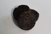     Old Bush Dancong Oolong