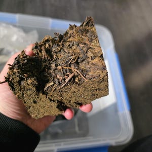 May include: A dark brown, rectangular block of compressed tea leaves, held in a hand. The tea appears to be aged, with visible stems and a textured surface. The background includes a clear plastic container.