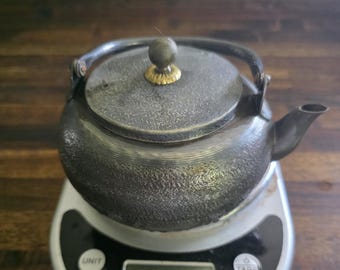 Japanese Teapot 6 475ml