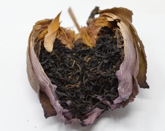 2023 Lotus Flower filled with Guangxi Honey Black Tea 16g