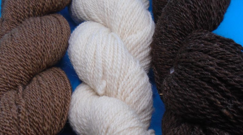 Sharn Wool 100% Shetland Wool Yarn - Etsy