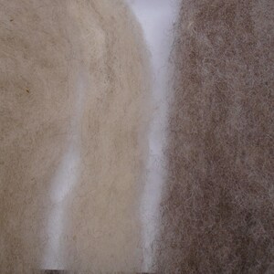 May include: Two samples of natural fiber, one is a light beige color and the other is a light brown color.