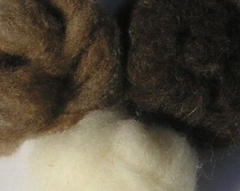 Shetland Wool Roving