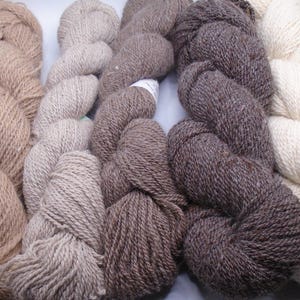 80/20 Wool/Angora Yarn in Natural Colors