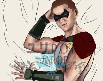 Body Pillow Dakimakura Robin Damian Wayne Video Game Etsy