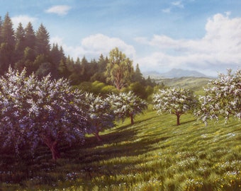 Apple Blossom Painting, Orchard Scene Print, Wine Country Art, Sebastopol CA