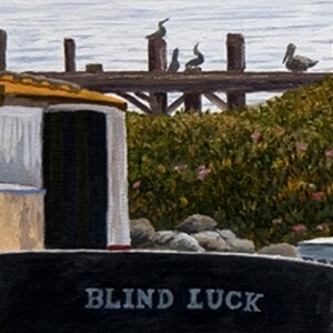 May include: A black boat with the words "BLIND LUCK" painted on the side. The boat is docked at a pier with several birds perched on the railing.