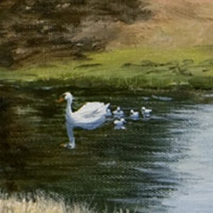 May include: A white swan with a spread wing swims in a pond with five smaller white swans following behind it.