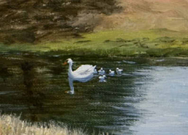 May include: A white swan with a spread wing swims in a pond with five smaller white swans following behind it.