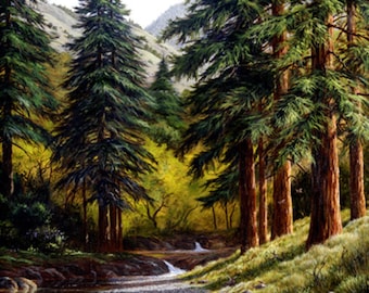 Redwood Painting, California Landscape Print, Wine Country Scenery, Realist Oil Painting, Forest Creek