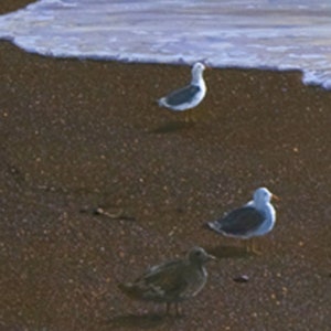May include: Three seagulls on a sandy beach with a wave in the background. The seagulls are white with gray wings and black eyes. The sand is brown and the wave is white with blue water.
