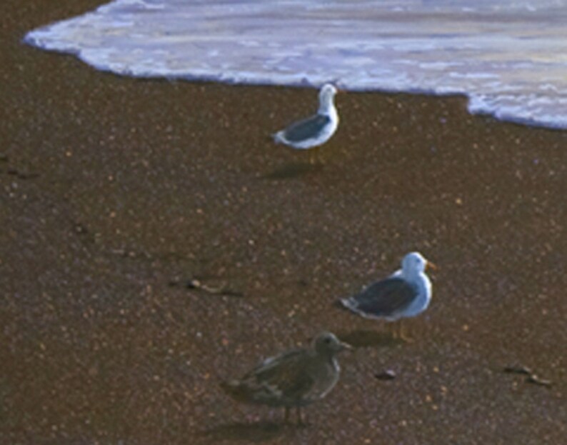 May include: Three seagulls on a sandy beach with a wave in the background. The seagulls are white with gray wings and black eyes. The sand is brown and the wave is white with blue water.