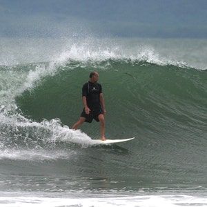 Tryck på duk, Kaliforniens kustmålning, Sandpipor på stranden, Sonoma County bild 9
