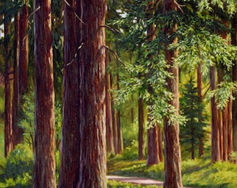 Redwood Grove Print, California Landscape Painting, Russian River Area, Giclee on Canvas