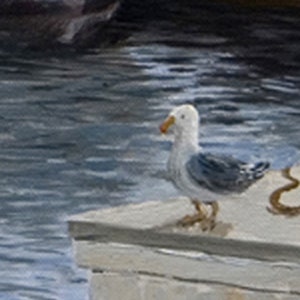 May include: A white and gray seagull with an orange beak perched on a concrete ledge overlooking a body of water.