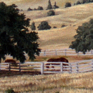 May include: A rural landscape with two brown horses in a fenced pasture. The horses are standing in the shade of a large tree. The background features rolling hills and trees.