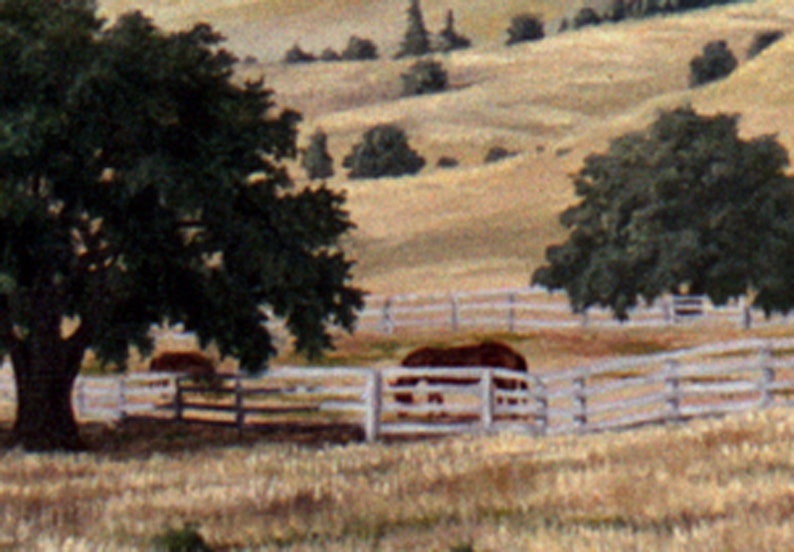 May include: A rural landscape with two brown horses in a fenced pasture. The horses are standing in the shade of a large tree. The background features rolling hills and trees.