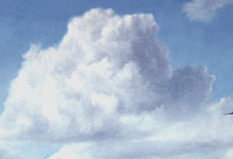 May include: A large, fluffy white cloud against a light blue sky.