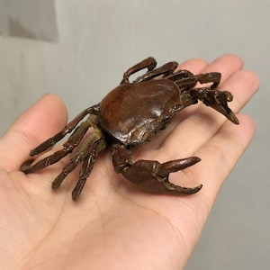 May include: A small, dark brown crab figurine with a smooth, rounded carapace and articulated legs. The crab features two prominent front claws and multiple segmented walking legs, showcasing a realistic, detailed texture across its entire body.