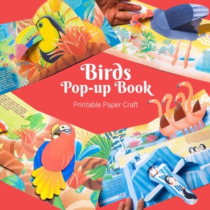 Kit de libro desplegable de pájaros para niños, actividad educativa de manualidades con papel, proyecto de manualidades imprimible para aprender.