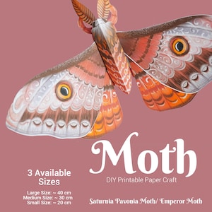 3D Moth DIY paper craft, modelo de download digital para crianças e adultos, mariposa marrom, kit de artesanato ilustrado, modelo para impressão, mariposa gigante