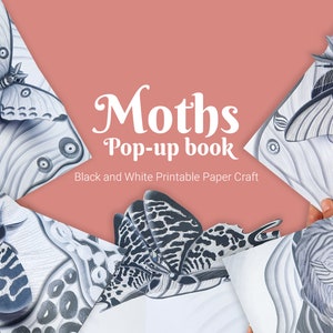 Kit de création de livre pop-up DIY sur les papillons de nuit, créations 3D en papier pour adultes, illustrations en noir et blanc, pyrale de la lune, teigne du tigre, modèle imprimable