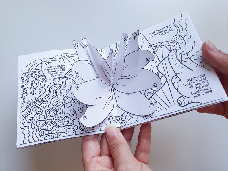 Coloring Pop Up Book About Ocean Animals For Kids And Parents Etsy 