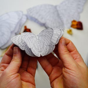 Färbung Miniatur Schmetterlings Akkordeon Buch, druckbare Papierkunst, DIY herunterladbare Buch Kit in der Form eines Schmetterlings, Papiergeschenk