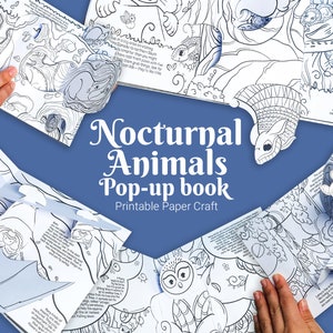 Kit de criação de livro pop-up para colorir animais noturnos, diversão para colorir para crianças, aprenda sobre animais noturnos, aprendizagem baseada em projetos, atividade divertida para a família