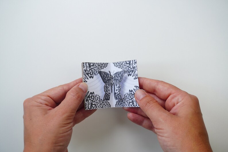 Moths Black and White Miniature Pop-up Book, Tiny Pop-up Book Digitale ...