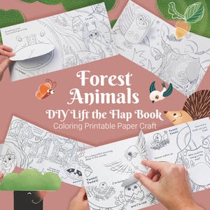 Sollevare il lembo libro da colorare fai da te per bambini piccoli, libro della foresta, libro del bosco, libro del nascondino, attività fai da te per bambini, lavoretti di carta stampabili