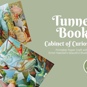 Vintage Illustrationen druckbares Buch, Papiermodell für Erwachsene, Tunnelbuch DIY-Buch, druckbare Vorlage, 3D-Bastelkit