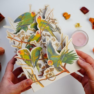 carte vintage avec des perroquets et des plantes, illustration par Ernst Haeckel, modèle imprimable de carte en couches 3D, téléchargement numérique