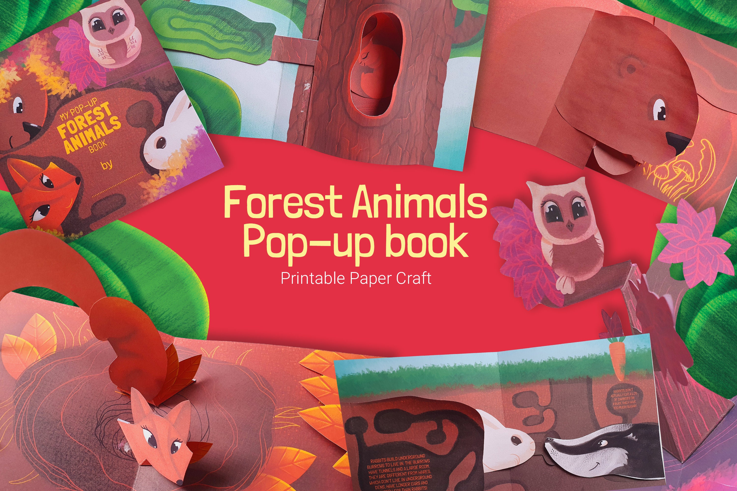 Forest Animals Diy Interactive Book for Kids Pop-up Book - Etsy Forest Animals Diy Interactive Book for Kids Pop-up Book - Etsy