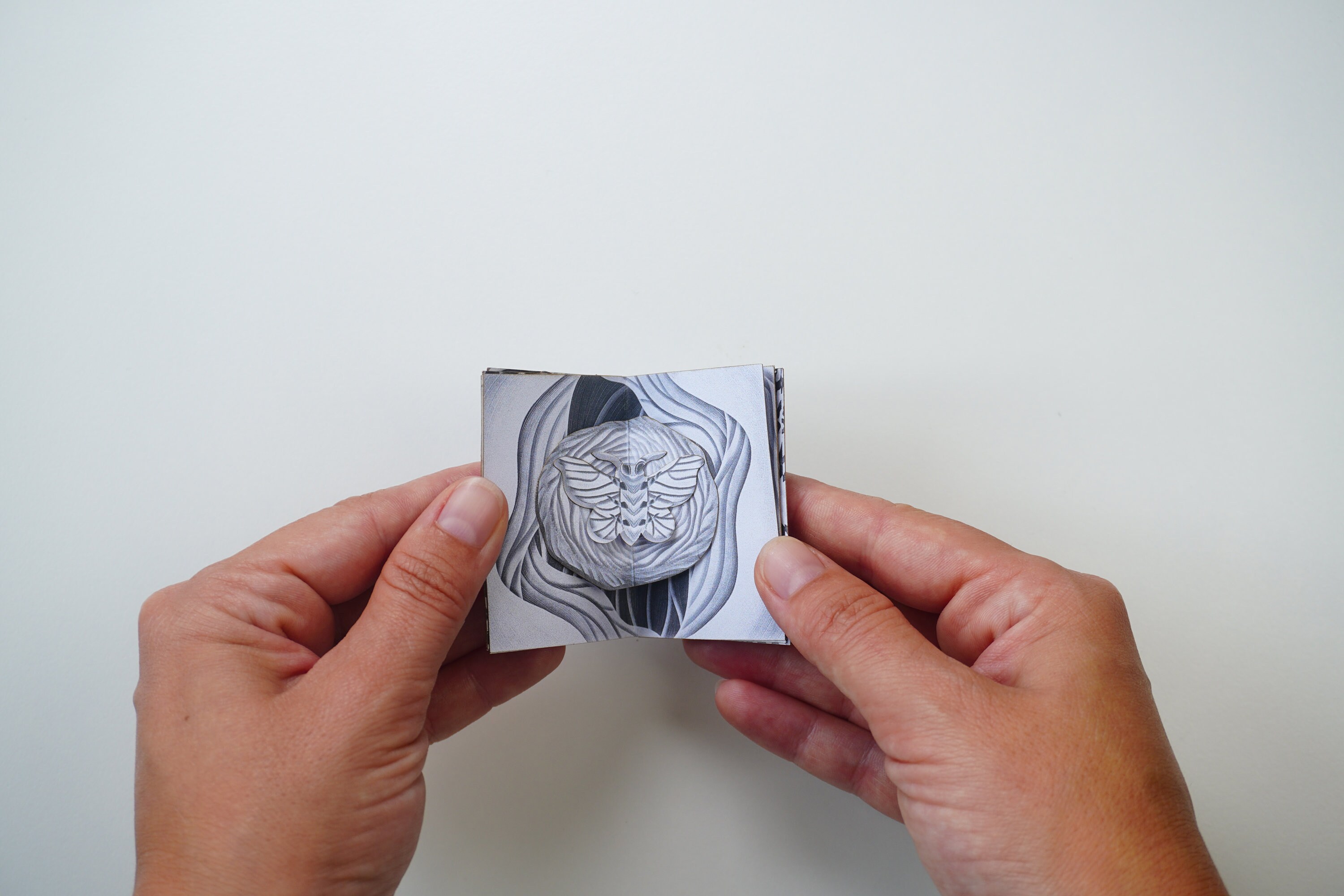 Moths Black and White Miniature Pop-up Book, Tiny Pop-up Book Digitale ...