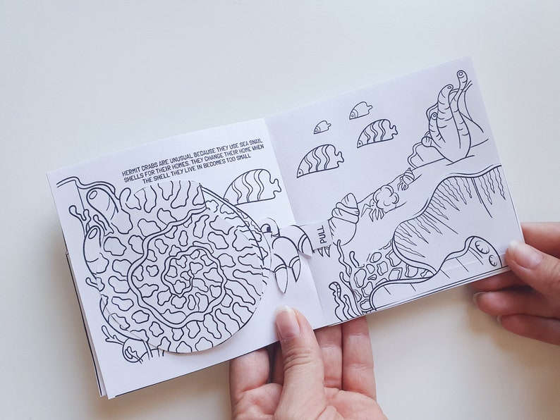 Coloring Pop Up Book About Ocean Animals For Kids And Parents Etsy 