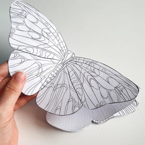Livre de coloriage pour accordéon papillon, modèle de création en papier facile à imprimer, idée de coloriage pour adultes, kit de créations téléchargeables