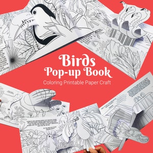 Kit de libro desplegable para colorear de pájaros para niños, manualidad de papel educativa para hacer su propio libro desplegable, actividad familiar, escuela primaria