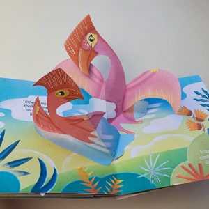 May include: A pop-up book featuring two stylized pterodactyls in shades of pink and red against a backdrop of a blue sky and green landscape. The book is open, revealing the 3D paper art and text about dinosaurs and chickens.