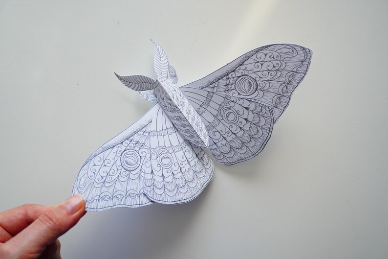 Origami Moth Pattern Emperor Moth DIY Coloring Paper Craft: 3D Origami (digital Download) - Etsy