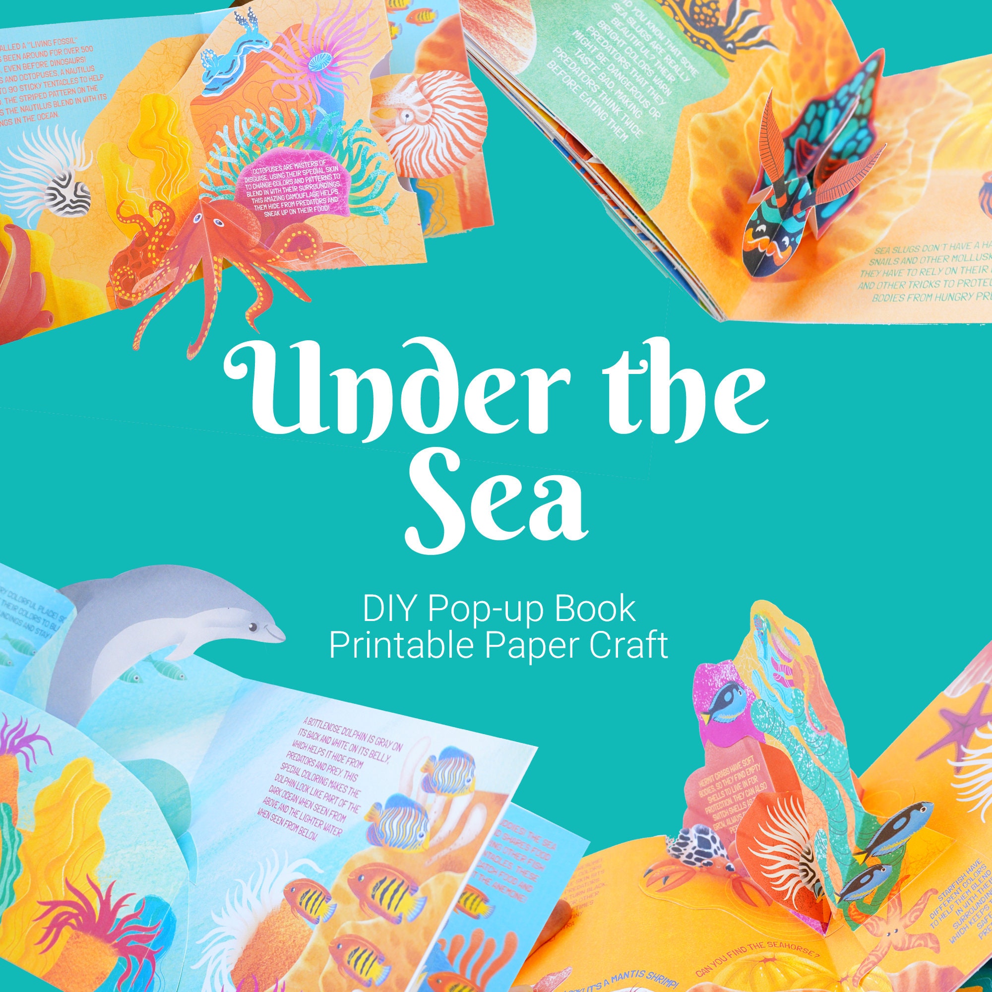 Pop up sea life Italia
