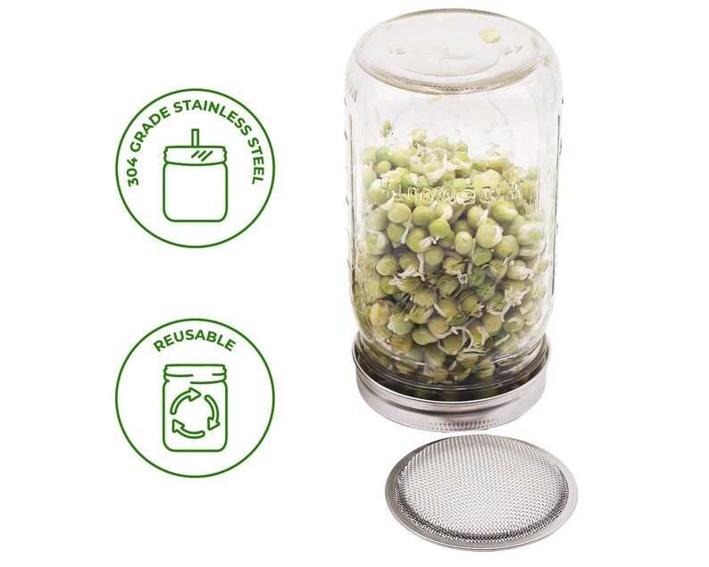 Stainless Steel Sprouting Lid for Mason Jars Sprouts DIY Etsy
