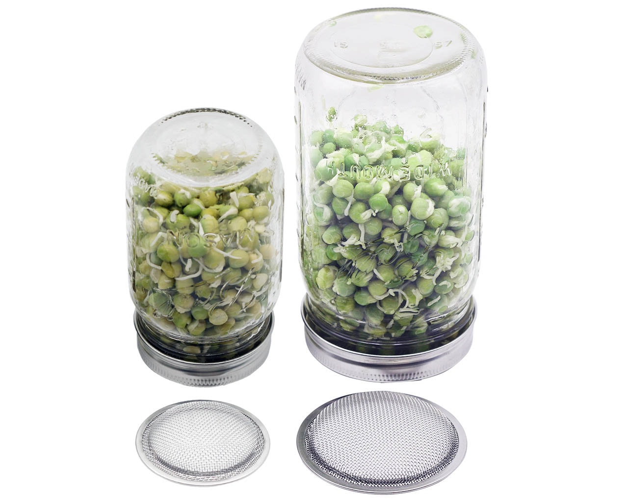 Kook Glass Kitchen and Apothecary Storage Jars, 1/2 Gallon, Set of 2