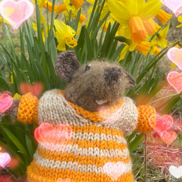 Edgar and the daffodil field, a project description for knitting the mouse Edgar and the story behind it