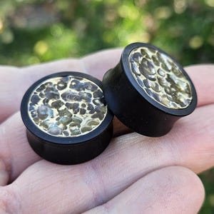 May include: Two black ear plugs with a gold and silver speckled design. The plugs are round with a flat face and a flared edge. The plugs are held in a person's hand.