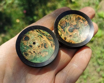Ebony Plugs Green Stabilized Wood Inlay Handmade Wooden Ear Plugs Gauges PAIR 10 mm- 51 mm 00g-2"