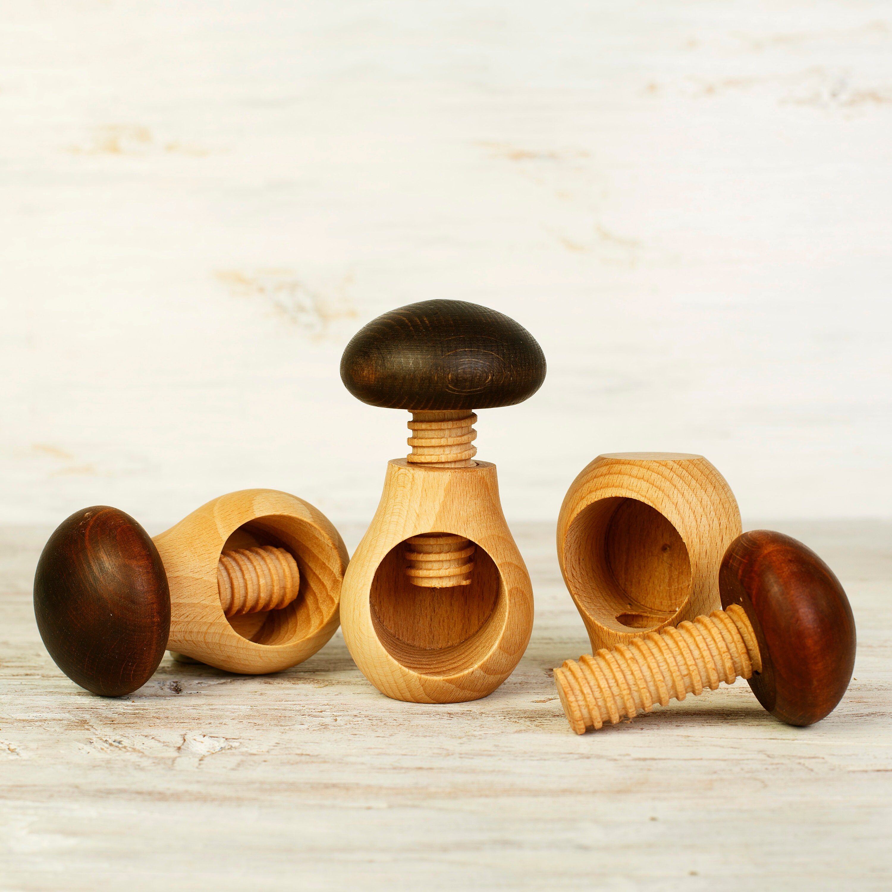 Wooden Mushroom toy with a screw Learning toy developing Fine Etsy
