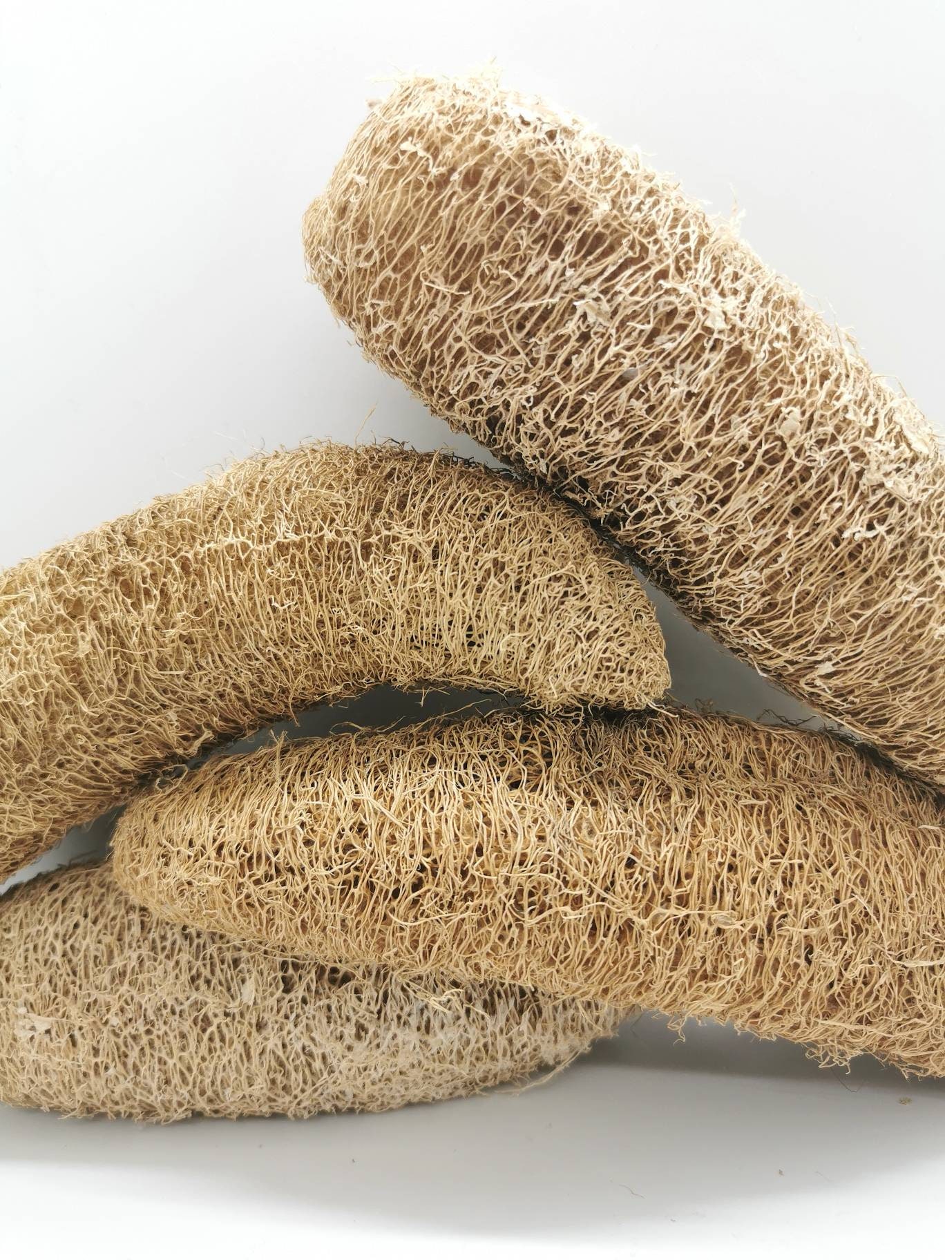 100 Natural Loofah Available in large or with Rope. Suitable Etsy