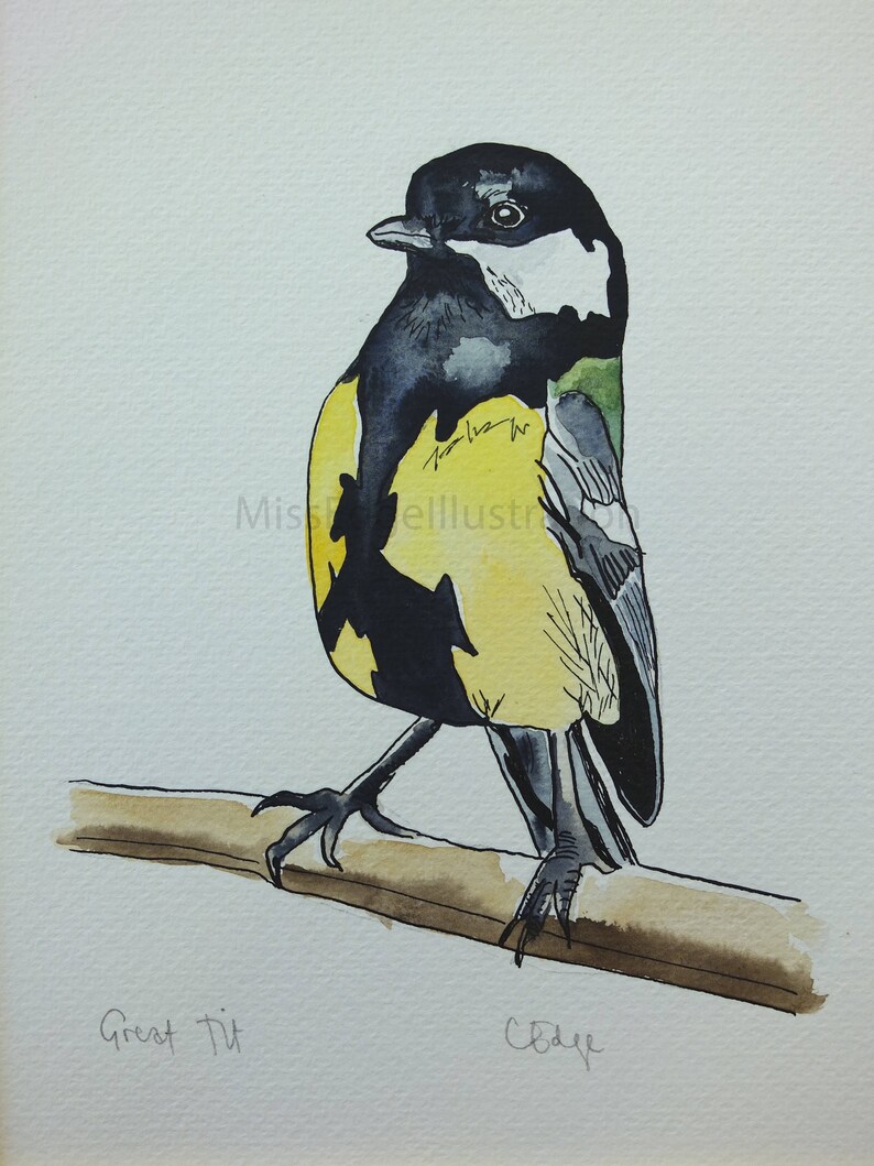grande tit com