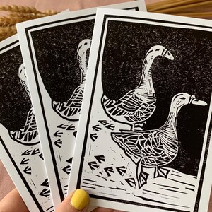 Cartes Oies | Lot de 3 cartes imprimées Oies Lino | Carte de voeux d'oiseau.